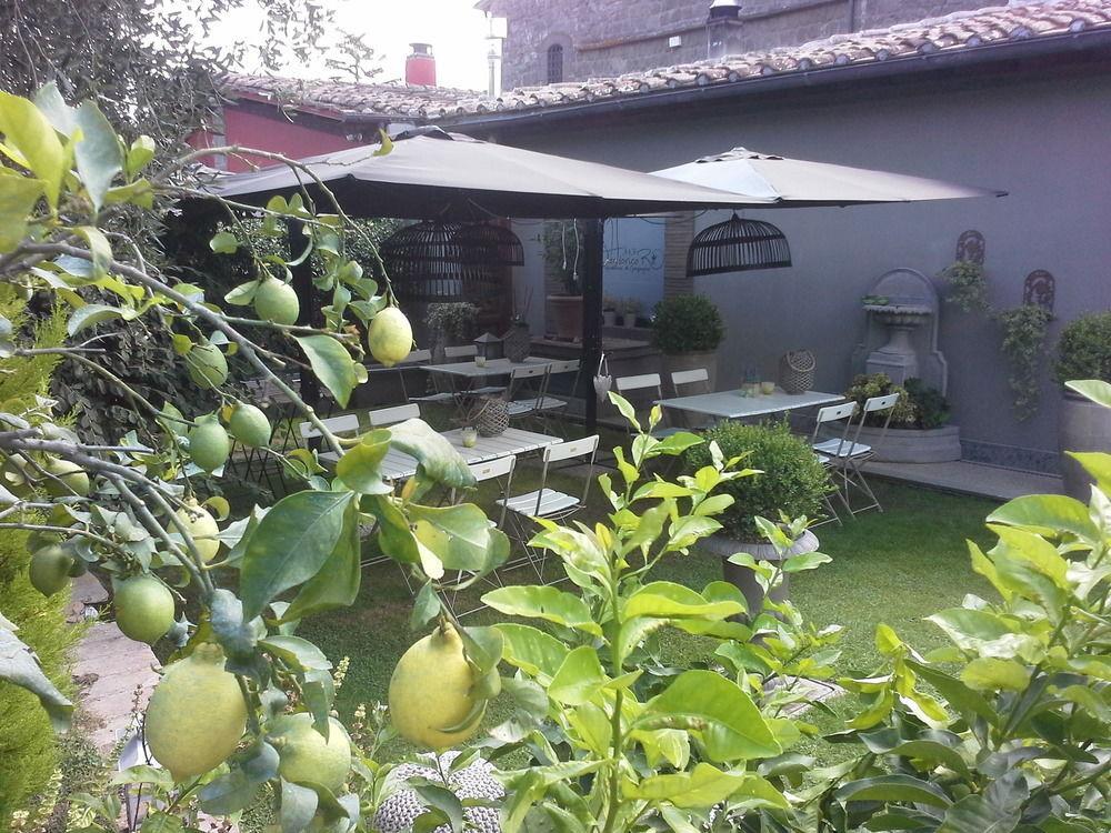 Residenza Teodorico Re B&B 维泰博 外观 照片