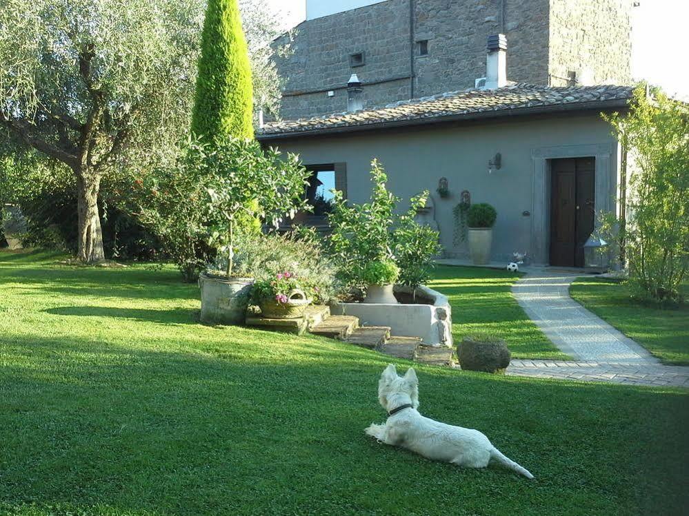 Residenza Teodorico Re B&B 维泰博 外观 照片